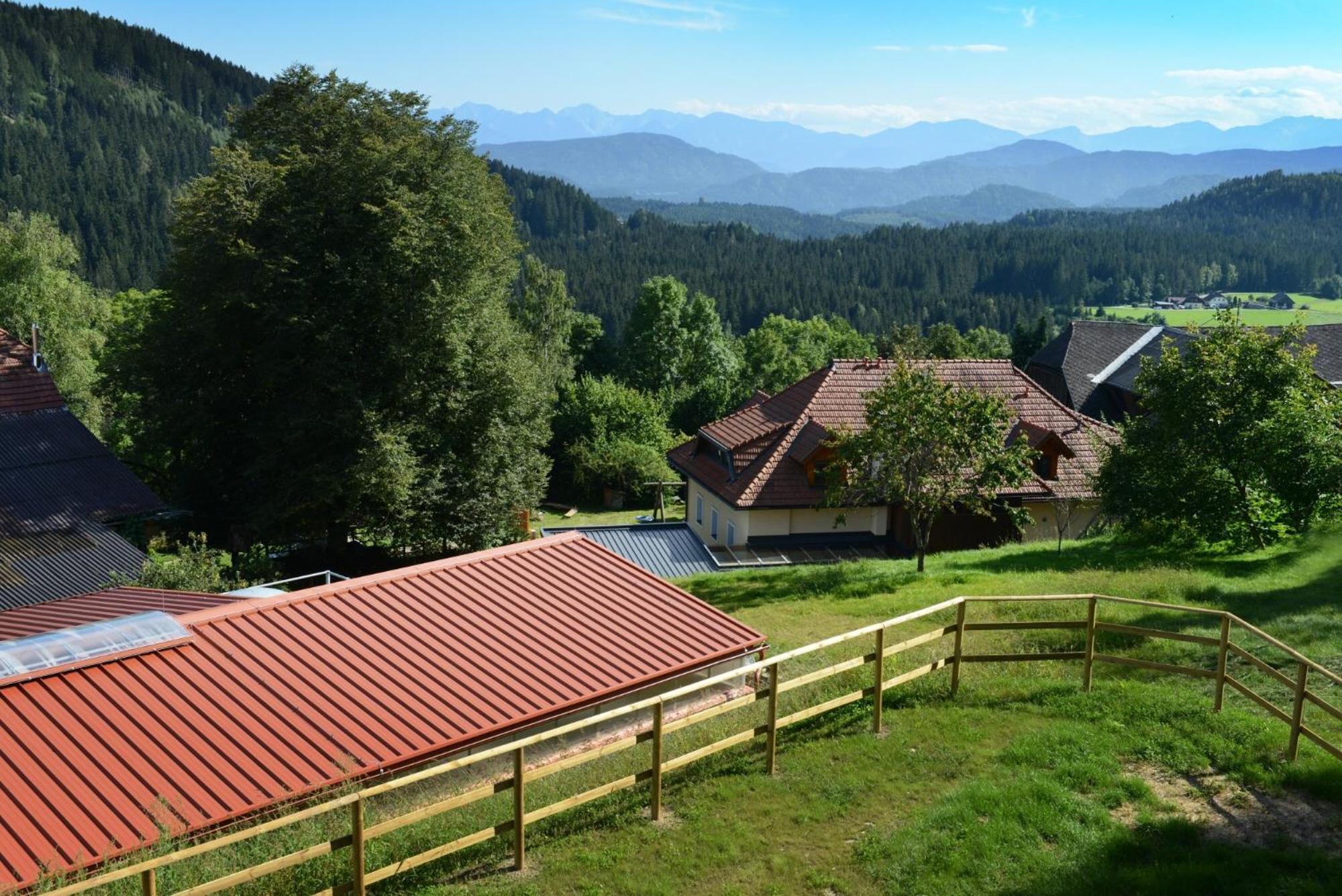 Little Farm Apartments Фельдкірхен-ін-Кернтен Екстер'єр фото